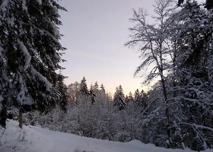 Kaiserchalet Apartament *